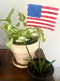 Quilted flag