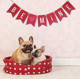 Felt banners/garland